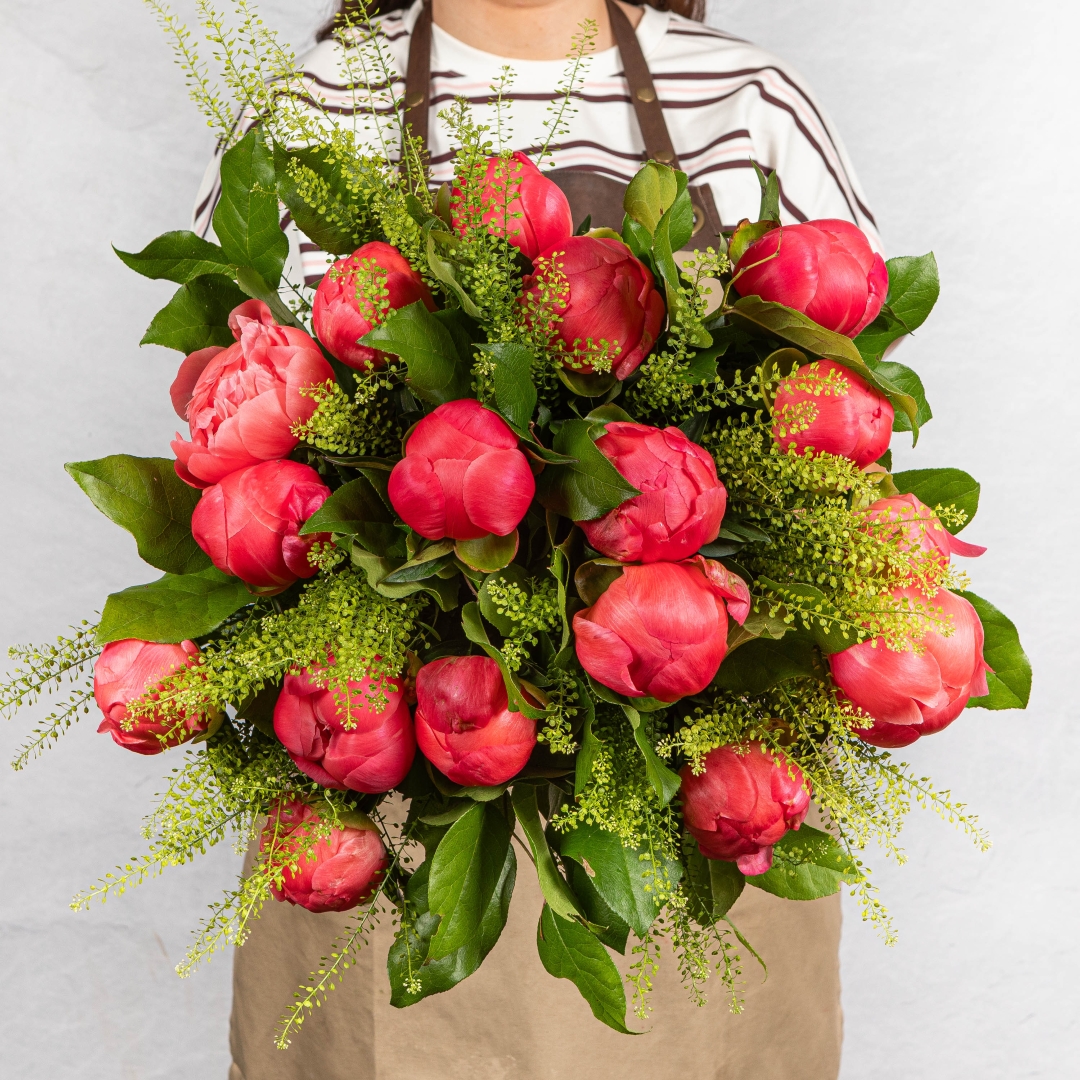 Coral Peonies