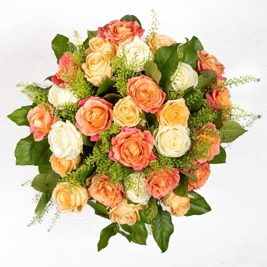 Luxury Summer Rose