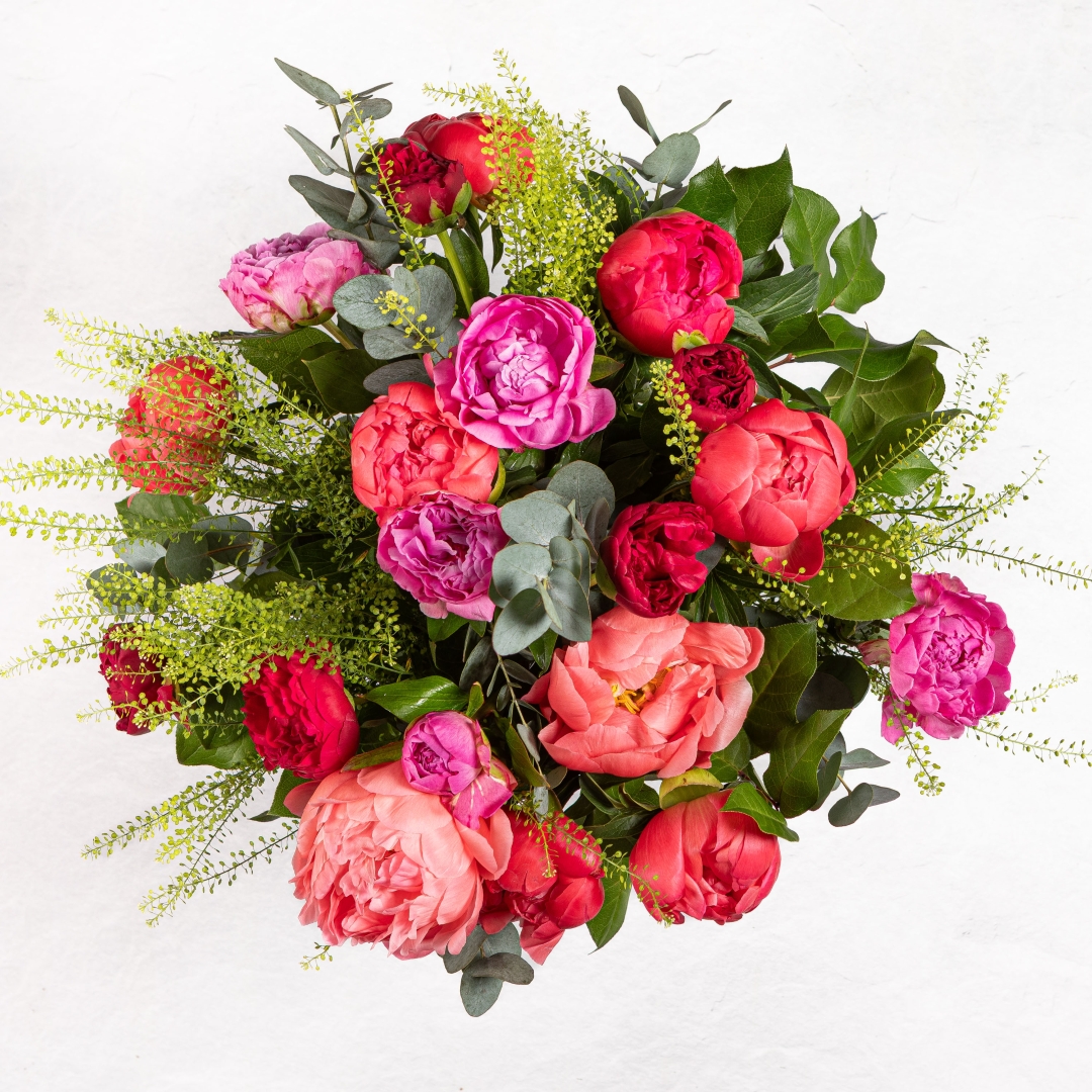 Pick n Mix Peony