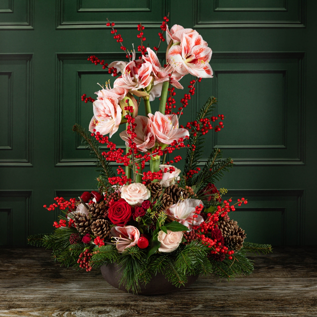 The Sugar Plum Arrangement