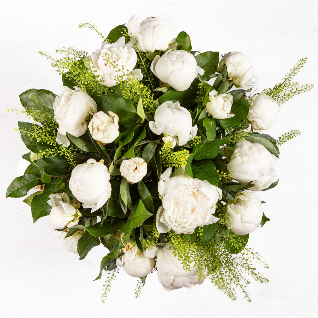 White Peonies