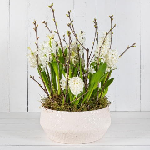 Luxury Hyacinth Bowl