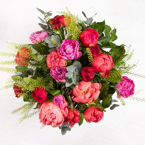 Pick n Mix Peony
