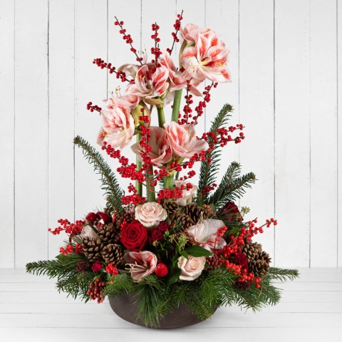 The Sugar Plum Arrangement